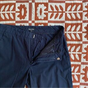 Steven Alan Blue Cotton Trouser